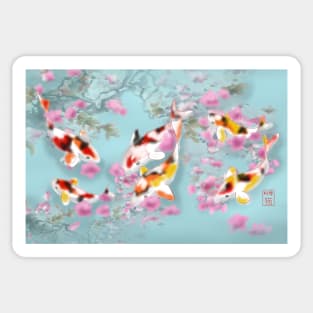 Koi carp with sakura reflections in a turquoise pond Sticker